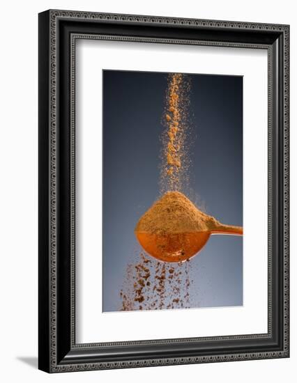 1 Tablespoon Cinnamon-Steve Gadomski-Framed Photographic Print