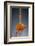 1 Tablespoon Cinnamon-Steve Gadomski-Framed Photographic Print