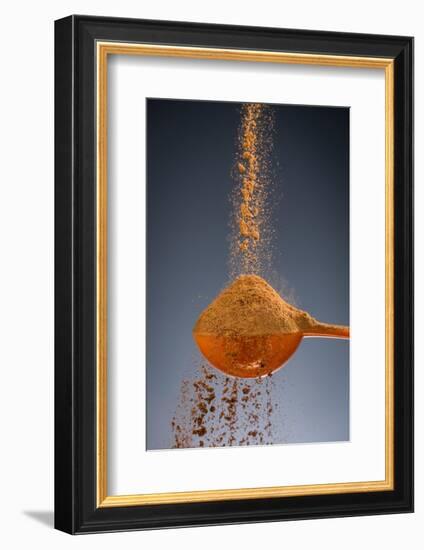 1 Tablespoon Cinnamon-Steve Gadomski-Framed Photographic Print