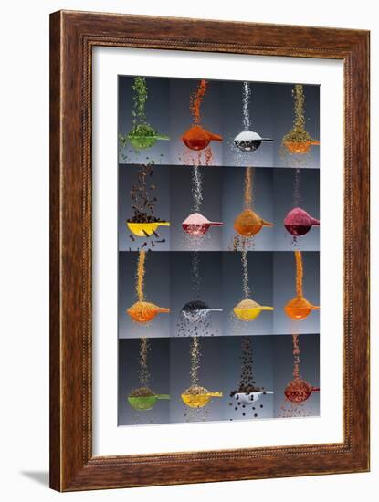 1 tablespoon flavor collage-Steve Gadomski-Framed Photographic Print