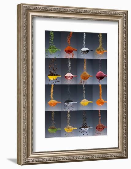 1 tablespoon flavor collage-Steve Gadomski-Framed Photographic Print