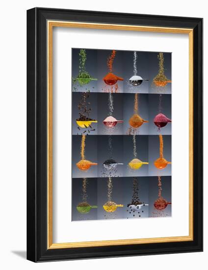 1 tablespoon flavor collage-Steve Gadomski-Framed Photographic Print