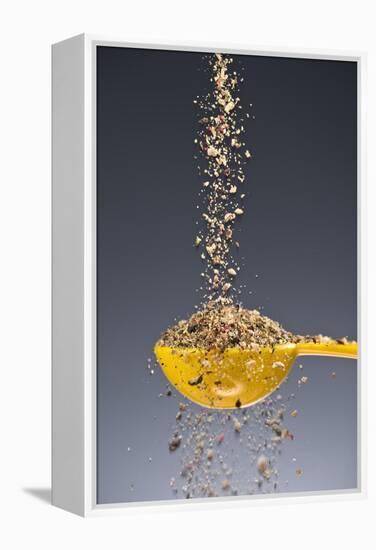 1 Tablespoon Ground Pepper-Steve Gadomski-Framed Premier Image Canvas