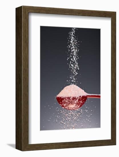 1 Tablespoon Himalayan Salt-Steve Gadomski-Framed Photographic Print