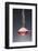 1 Tablespoon Himalayan Salt-Steve Gadomski-Framed Photographic Print