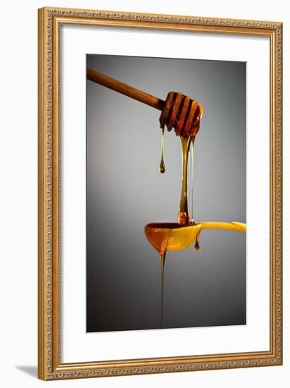 1 Tablespoon Honey-Steve Gadomski-Framed Photographic Print