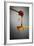 1 Tablespoon Honey-Steve Gadomski-Framed Photographic Print