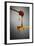 1 Tablespoon Honey-Steve Gadomski-Framed Photographic Print