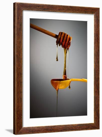 1 Tablespoon Honey-Steve Gadomski-Framed Photographic Print