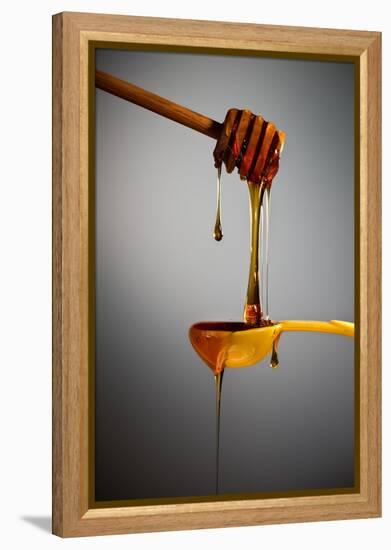 1 Tablespoon Honey-Steve Gadomski-Framed Premier Image Canvas