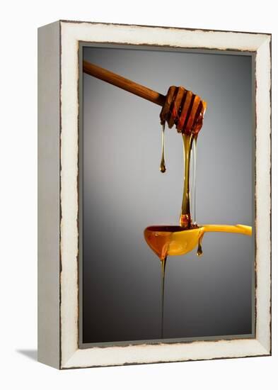 1 Tablespoon Honey-Steve Gadomski-Framed Premier Image Canvas