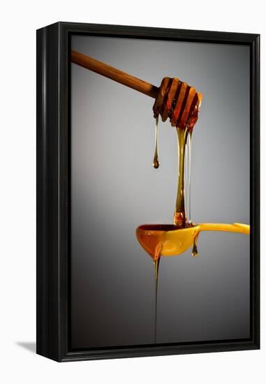 1 Tablespoon Honey-Steve Gadomski-Framed Premier Image Canvas