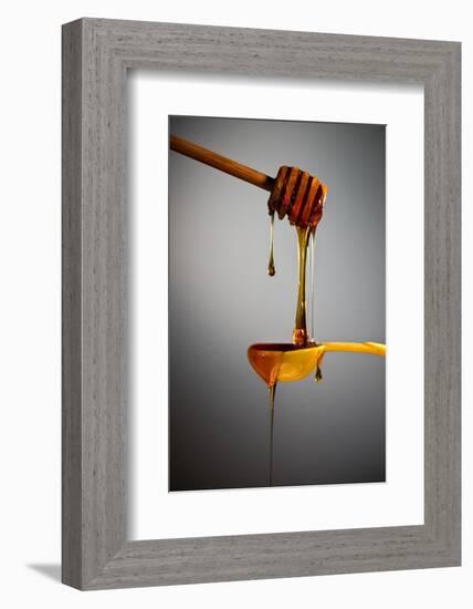 1 Tablespoon Honey-Steve Gadomski-Framed Photographic Print