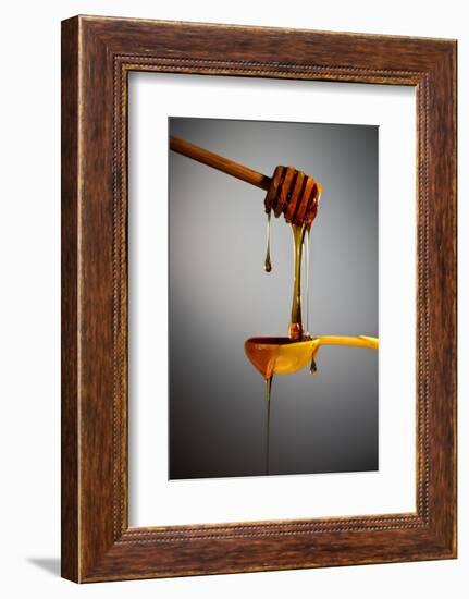 1 Tablespoon Honey-Steve Gadomski-Framed Photographic Print