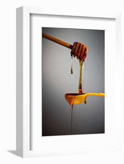 1 Tablespoon Honey-Steve Gadomski-Framed Photographic Print