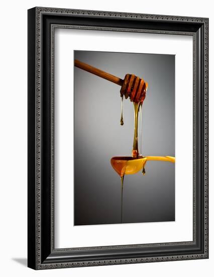 1 Tablespoon Honey-Steve Gadomski-Framed Photographic Print