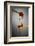 1 Tablespoon Honey-Steve Gadomski-Framed Photographic Print