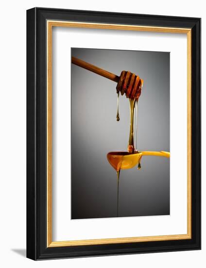 1 Tablespoon Honey-Steve Gadomski-Framed Photographic Print