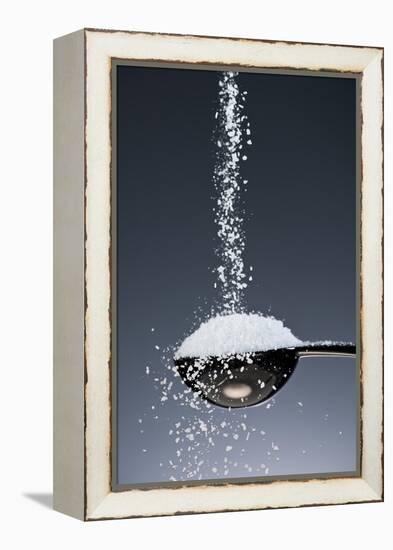 1 Tablespoon Kosher Salt-Steve Gadomski-Framed Premier Image Canvas