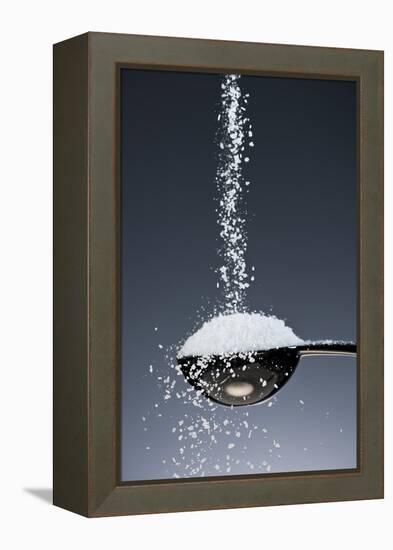 1 Tablespoon Kosher Salt-Steve Gadomski-Framed Premier Image Canvas