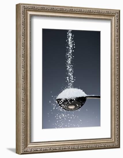 1 Tablespoon Kosher Salt-Steve Gadomski-Framed Photographic Print