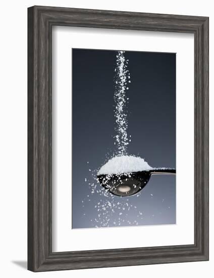 1 Tablespoon Kosher Salt-Steve Gadomski-Framed Photographic Print