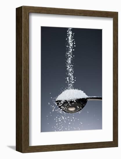 1 Tablespoon Kosher Salt-Steve Gadomski-Framed Photographic Print