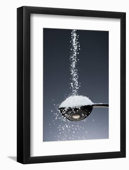 1 Tablespoon Kosher Salt-Steve Gadomski-Framed Photographic Print