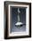 1 Tablespoon Kosher Salt-Steve Gadomski-Framed Photographic Print