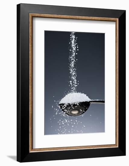 1 Tablespoon Kosher Salt-Steve Gadomski-Framed Photographic Print