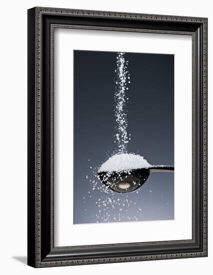 1 Tablespoon Kosher Salt-Steve Gadomski-Framed Photographic Print