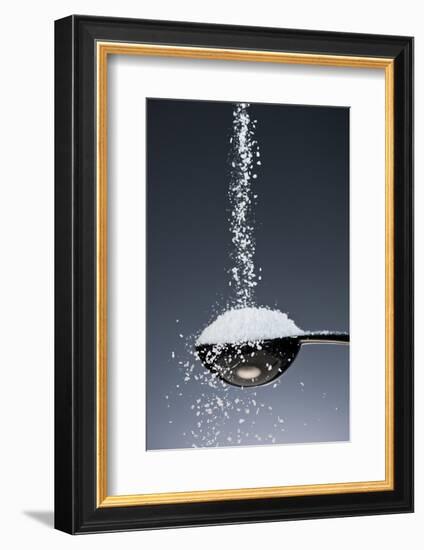 1 Tablespoon Kosher Salt-Steve Gadomski-Framed Photographic Print