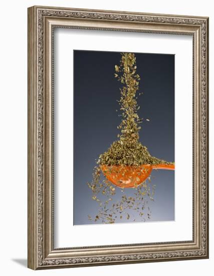 1 Tablespoon Oregano-Steve Gadomski-Framed Photographic Print