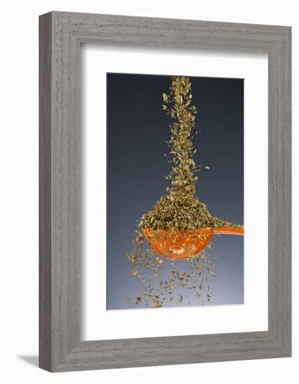 1 Tablespoon Oregano-Steve Gadomski-Framed Photographic Print