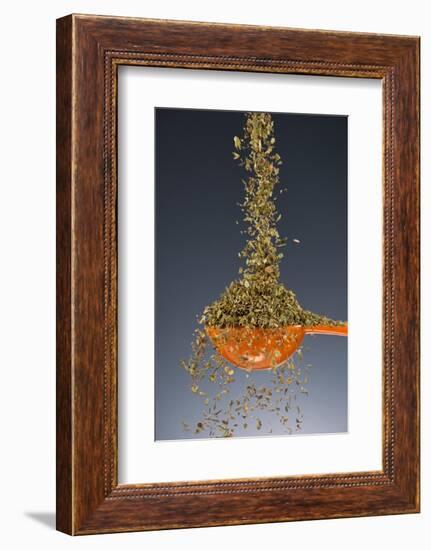 1 Tablespoon Oregano-Steve Gadomski-Framed Photographic Print