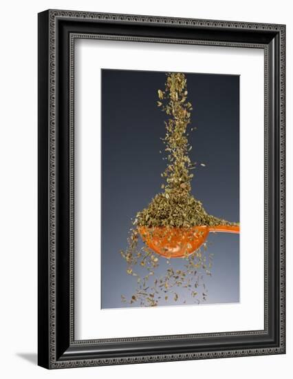 1 Tablespoon Oregano-Steve Gadomski-Framed Photographic Print