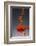 1 Tablespoon Paprika-Steve Gadomski-Framed Photographic Print