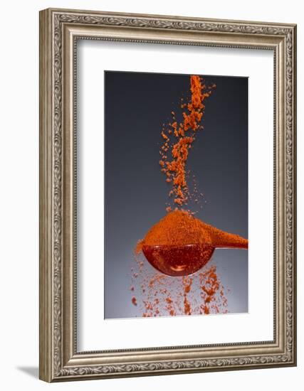 1 Tablespoon Paprika-Steve Gadomski-Framed Photographic Print