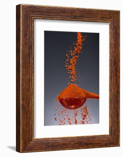 1 Tablespoon Paprika-Steve Gadomski-Framed Photographic Print