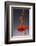 1 Tablespoon Paprika-Steve Gadomski-Framed Photographic Print