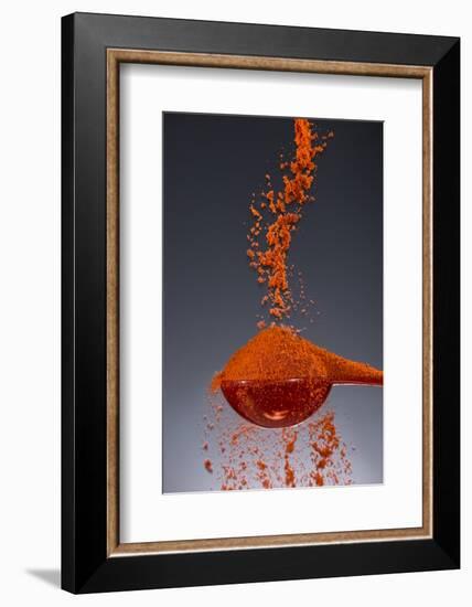 1 Tablespoon Paprika-Steve Gadomski-Framed Photographic Print