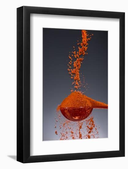 1 Tablespoon Paprika-Steve Gadomski-Framed Photographic Print