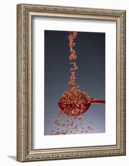 1 Tablespoon Red Gold Hawaii Sea Salt-Steve Gadomski-Framed Photographic Print