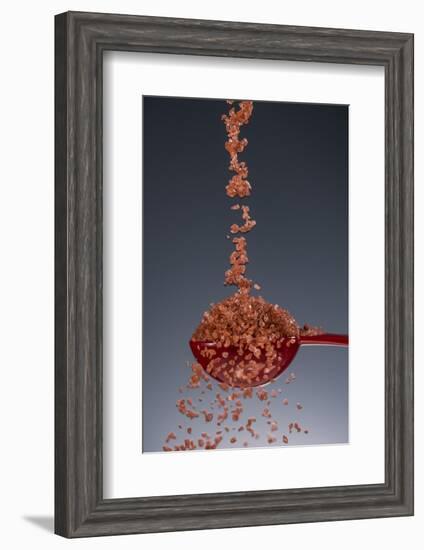 1 Tablespoon Red Gold Hawaii Sea Salt-Steve Gadomski-Framed Photographic Print