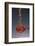 1 Tablespoon Red Gold Hawaii Sea Salt-Steve Gadomski-Framed Photographic Print