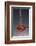 1 Tablespoon Red Gold Hawaii Sea Salt-Steve Gadomski-Framed Photographic Print