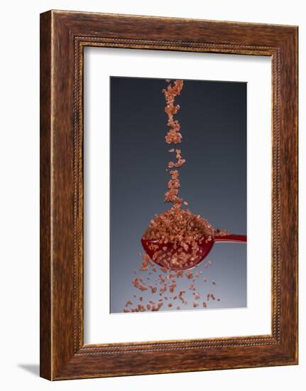 1 Tablespoon Red Gold Hawaii Sea Salt-Steve Gadomski-Framed Photographic Print