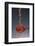 1 Tablespoon Red Gold Hawaii Sea Salt-Steve Gadomski-Framed Photographic Print