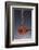 1 Tablespoon Red Gold Hawaii Sea Salt-Steve Gadomski-Framed Photographic Print