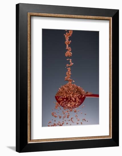 1 Tablespoon Red Gold Hawaii Sea Salt-Steve Gadomski-Framed Photographic Print